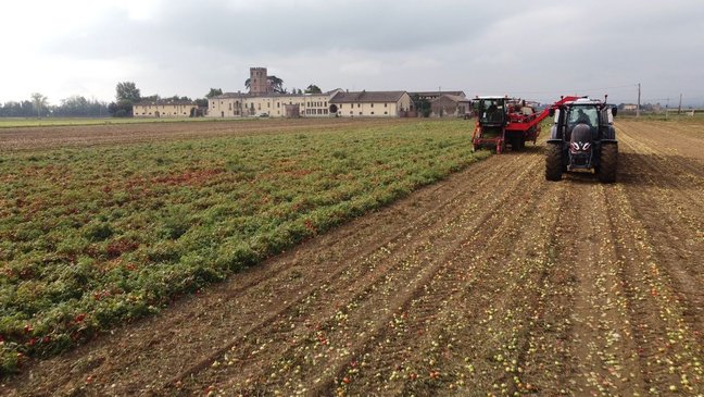 240902-ARTICOLO_STUDY_TRIP2_low