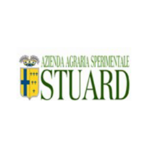 STUARD