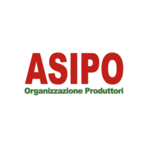 ASIPO-LOGO-color-02