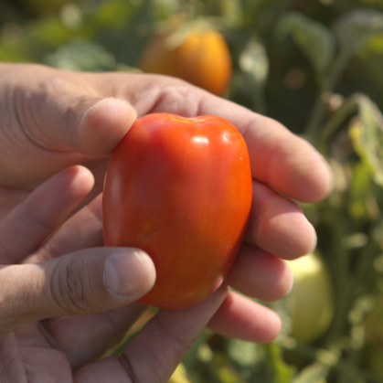 Progetto-senza-titolo-2023-09-13T161548