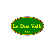 logo_due_valli